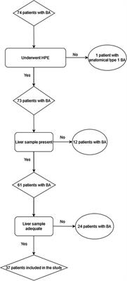 Expression of activin A in liver tissue and the outcome of patients with biliary atresia